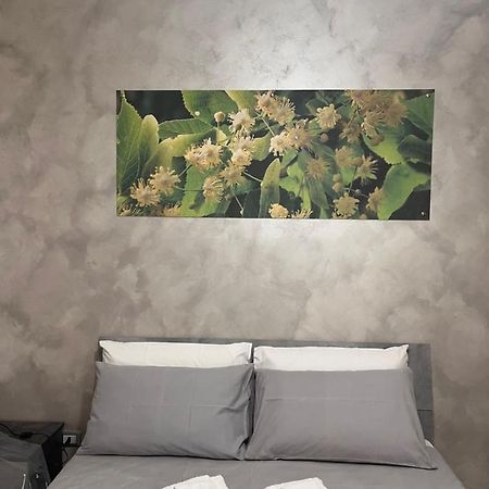 B&B Sulviale Ladispoli Exterior photo